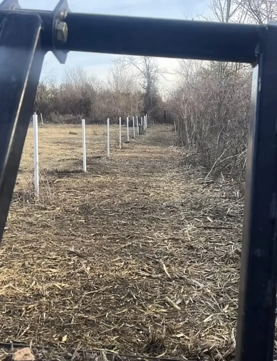 Cleared fence line after land clearing service, Northwest Ohio