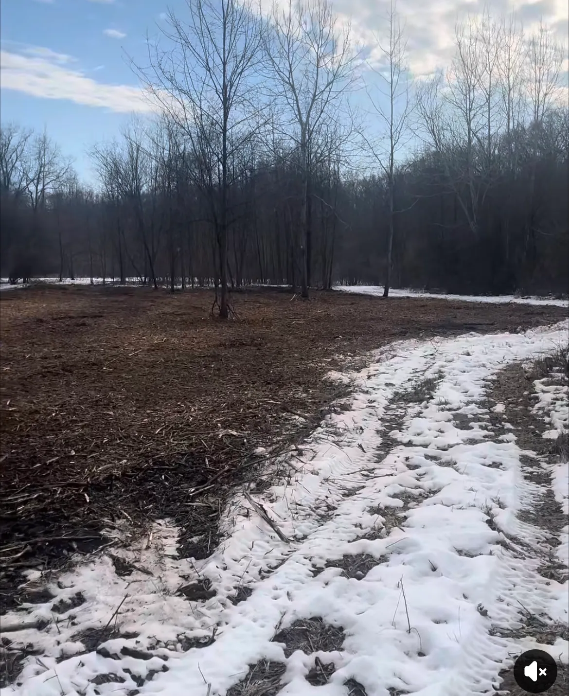 Wide cleared field after land clearing service, Sandusky County Northwest Ohio