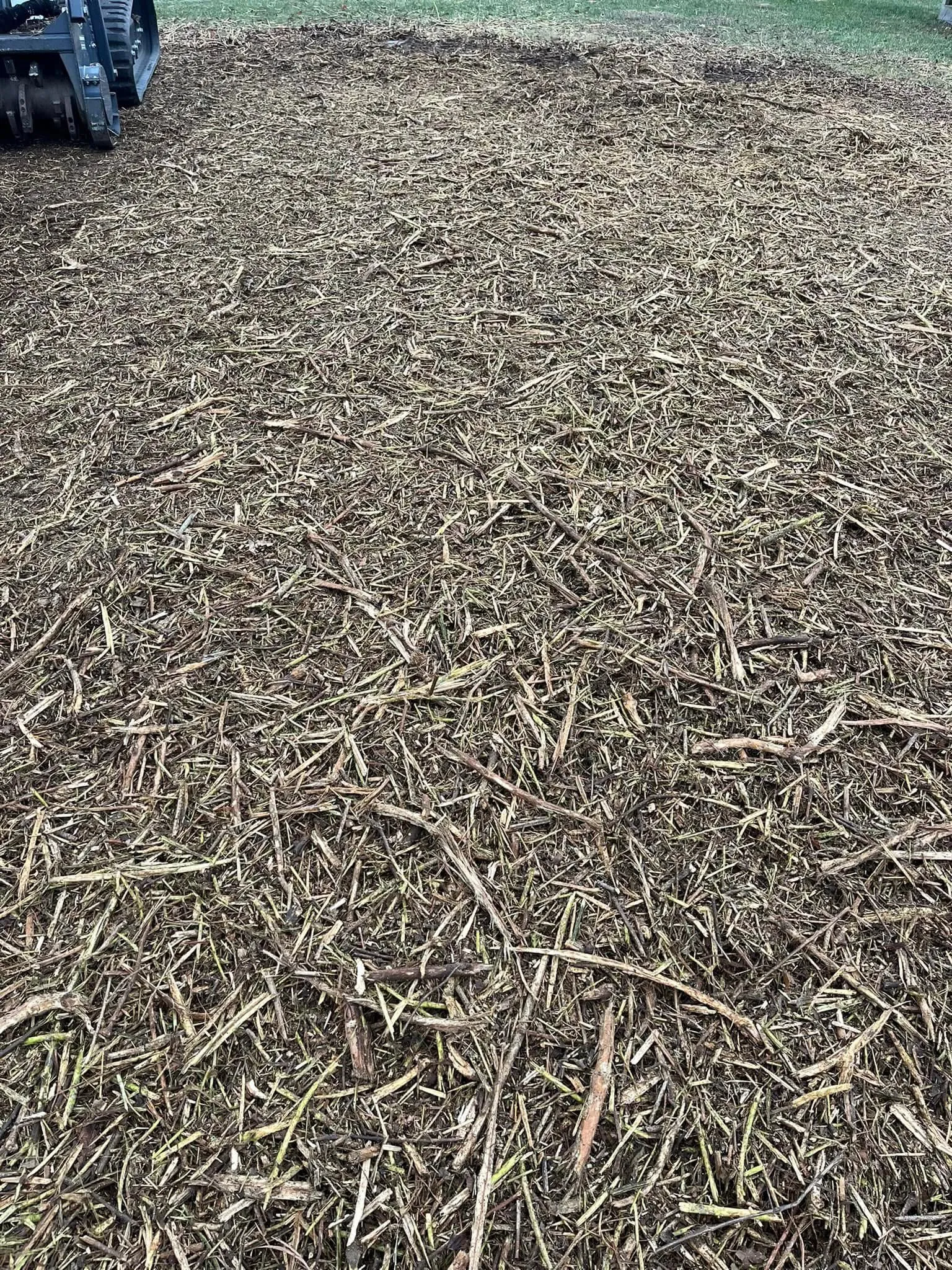 Freshly mulched ground material after forestry mulching and brush clearing, Lucas County Ohio