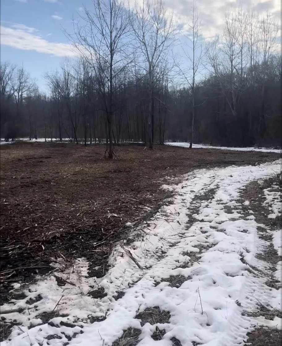 Cleared winter landscape with mulch ground cover after land clearing service, Hillsdale County Michigan